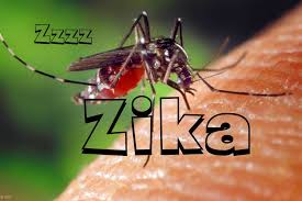 Investigadores de Brasil y Senegal estudiarán conjuntamente  el virus  zika como  causante de  la  microcefalia