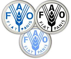 Cuarto año consecutivo de caída de los precios mundiales de los alimentos según la FAO