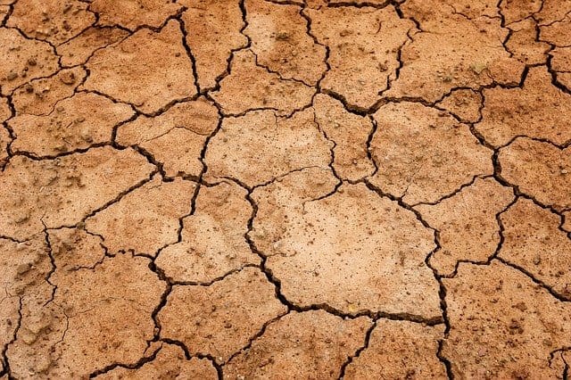 Zambia, devastada por las sequías