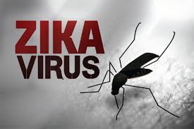 ¿Por qué África no puede permitirse el virus zika?