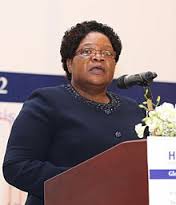 Presentado en Zimbabue el nuevo partido político Zimbabwe People First de Joice Mujuru