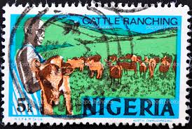 ¿Por qué los nigerianos deberían consumir sus productos locales?