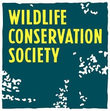 La fauna salvaje, víctima colateral de la guerra civil en Sudán del Sur