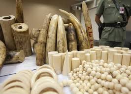 La policía de Kenia incauta  63.000 dólares en  marfil en el aeropuerto