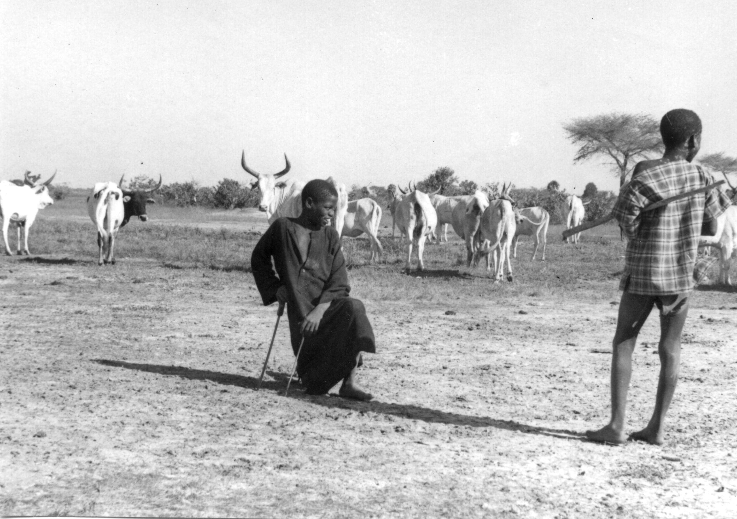 ¿Boko Haram se está moviendo hacia el sur siguiendo el movimiento de los pastores Fulani?