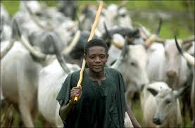Reubicación de los pastores Fulani en Nigeria