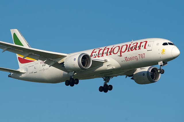 Las compañías aéreas de África y Oriente Medio necesitarán unos 530 nuevos aviones  en los próximos 20 años,