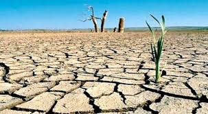 La sequía en Marruecos nuevo azote para la agricultura