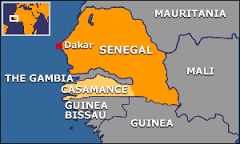 Senegal pide a Guinea que se mantenga alejada del conflicto con Gambia