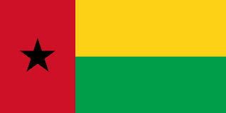 El PAIGC admite la   disolución del Parlamento de Guinea Bissau para resolver la crisis
