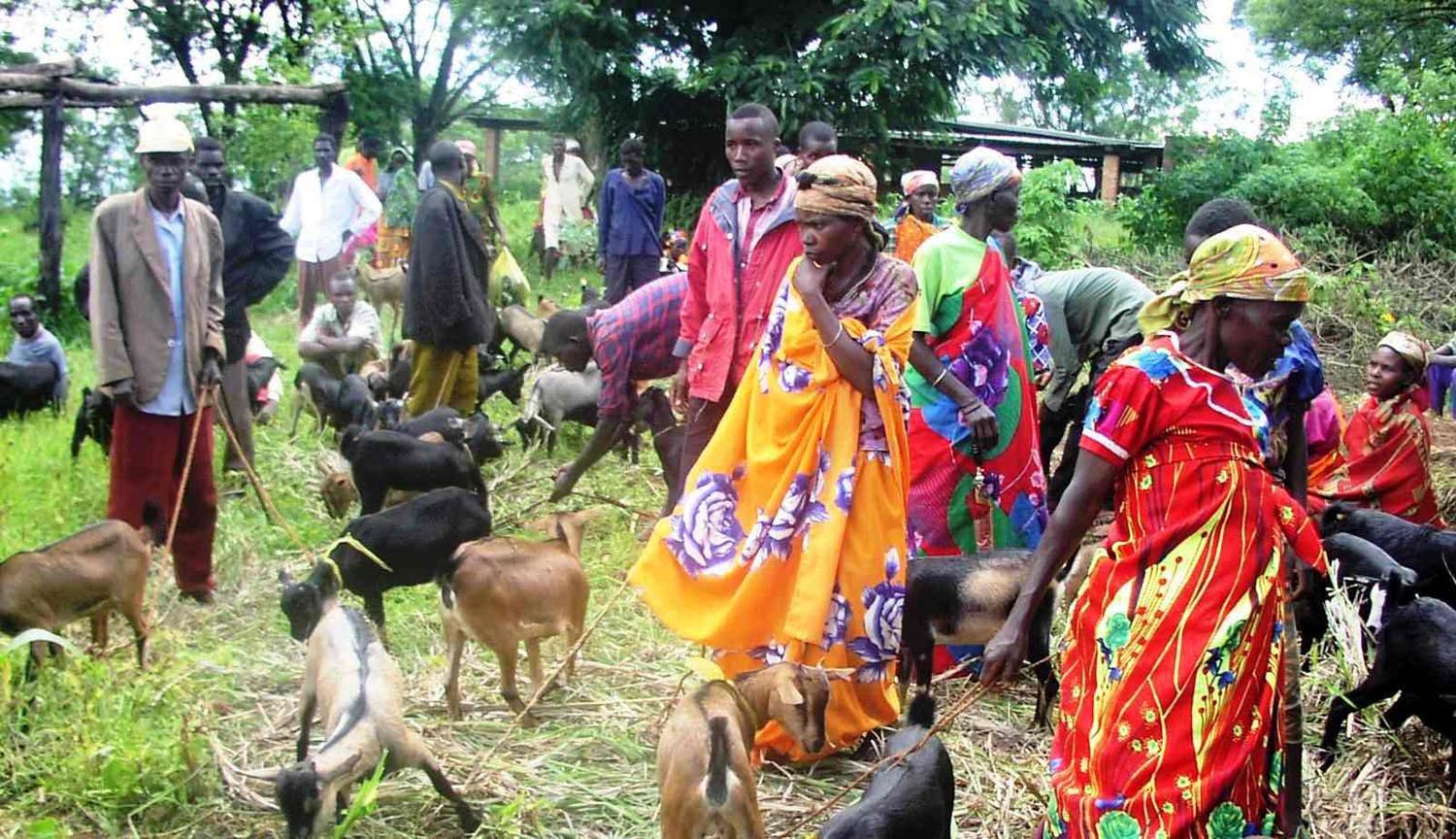 El gobierno de Ruanda expulsa a más de 1.500 ciudadanos burundeses