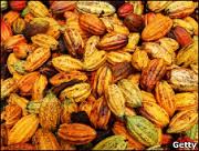 Acuerdo entre un grupo chocolatero francés y los productores de Costa de Marfil para el cultivo de cacao sostenible