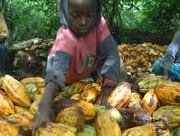 Proyecto americano para salvar a 5.000 niños y niñas que trabajan en el cacao en Costa de Marfil