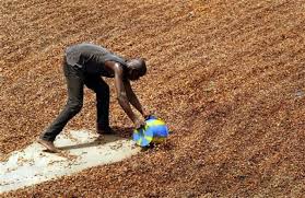 Los agricultores sin trabajo en Zimbabue contribuyen a la tasa de crecimiento del VIH/SIDA en el país