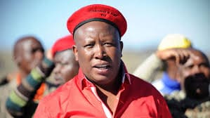 El líder de la oposición Sudafricana, Julius Malema hace campaña en el bastión del partido del gobierno