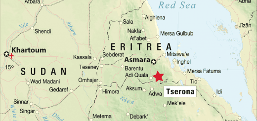 Asmara culpa a Washington del choque fronterizo de Eritrea con Etiopía