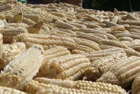Malaui tiene ya maíz suficiente para alimentar a la nación