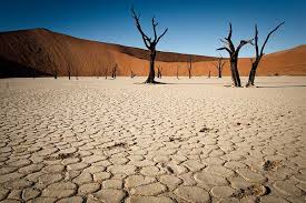 Namibia declara la sequía como desastre nacional
