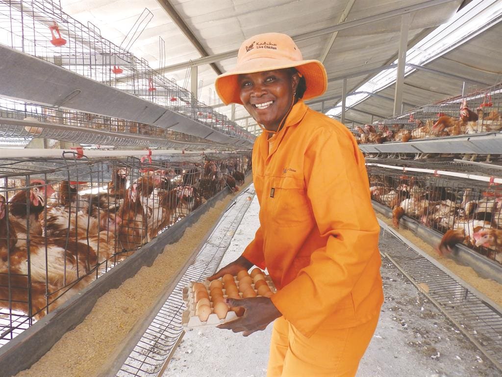 El gobierno de Namibia debe dar prioridad a la producción avícola