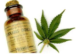 Sudán es el mayor productor de cannabis de África