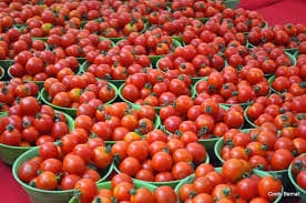 El gobierno de Nigeria da su apoyo a los fabricantes de pasta de tomate locales