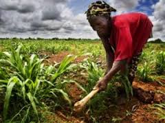 Los líderes africanos argumentan a favor de una mejor condición de la mujer en la agricultura