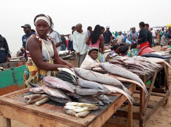 La FAO apoya la propuesta de Angola para mejorar la productividad de la pesca