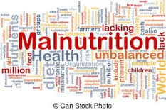 Lanzamiento en Mozambique de una campaña para reducir la desnutrición crónica