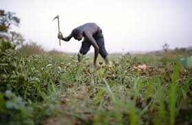 África discute las maneras de frenar el éxodo rural del continente