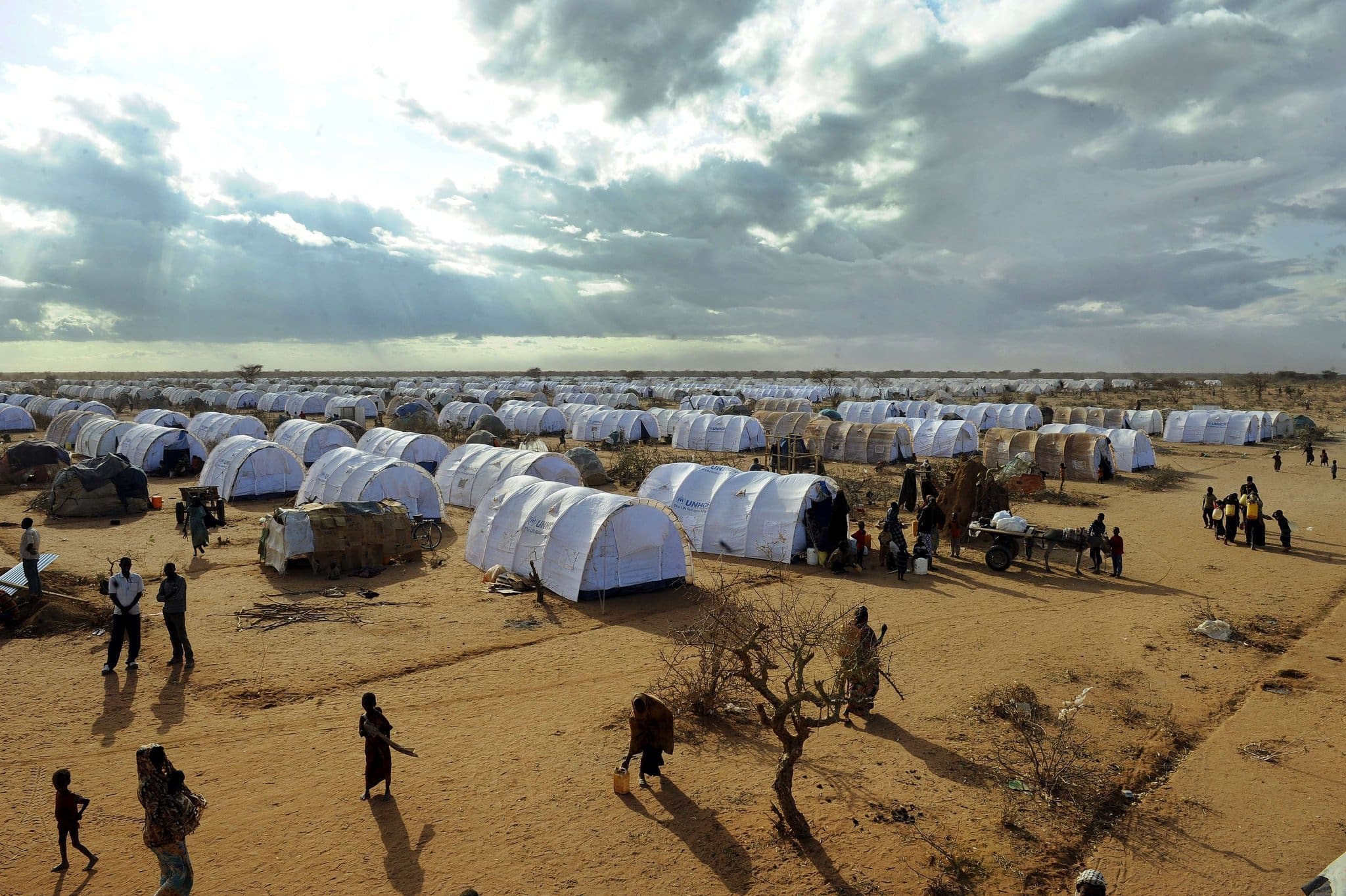 El regreso de los refugiados somalíes de Dadaab no es “voluntario” denuncia Human Rights Watch