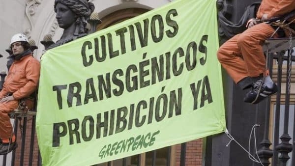África está perdiendo su voluntad de prohibir las semillas transgénicas