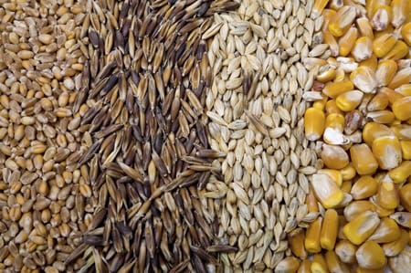 Aumento de 1 millón de personas con inseguridad alimentaria en Sudán del Sur