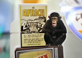 Una compañía de tabaco de Corea del Sur acusada de racismo contra los africanos