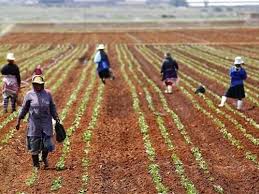 Prohibición de adquirir tierras a los extranjeros en Namibia