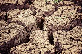 La desertificación obliga a luchar o a huir