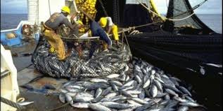 Los océanos se vacían y los pescadores de Kenia tienen que adaptarse o desaparecer