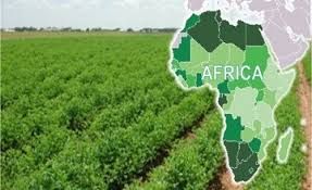 Encuentro en Namibia de ministros de agricultura africanos