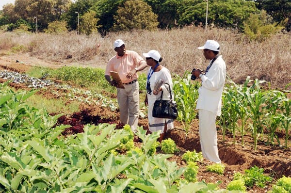 Funcionarios   de  África  Occidental  acuden a  Israel  a una  conferencia sobre  la agricultura en las regiones desérticas