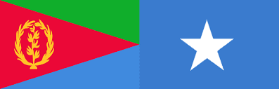 Eritrea y Somalia tienen los pasaportes menos influyentes a nivel mundial