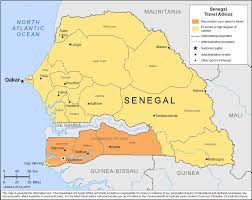 La silenciosa destrucción de los últimos bosques de Senegal