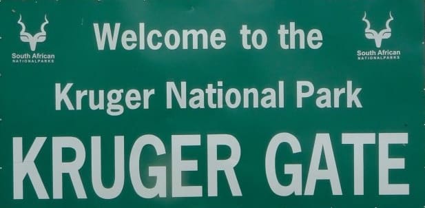 Mueren varios animales electrocutados en el Parque Nacional Kruger de Sudáfrica