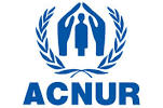 ACNUR pide a Burundi y a la República Democrática del Congo que faciliten la repatriación de refugiados
