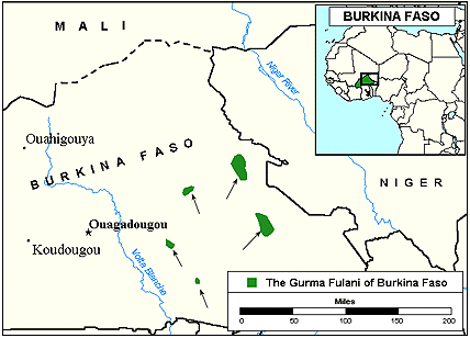 Una nueva escuela para pastores fulani en Burkina Faso