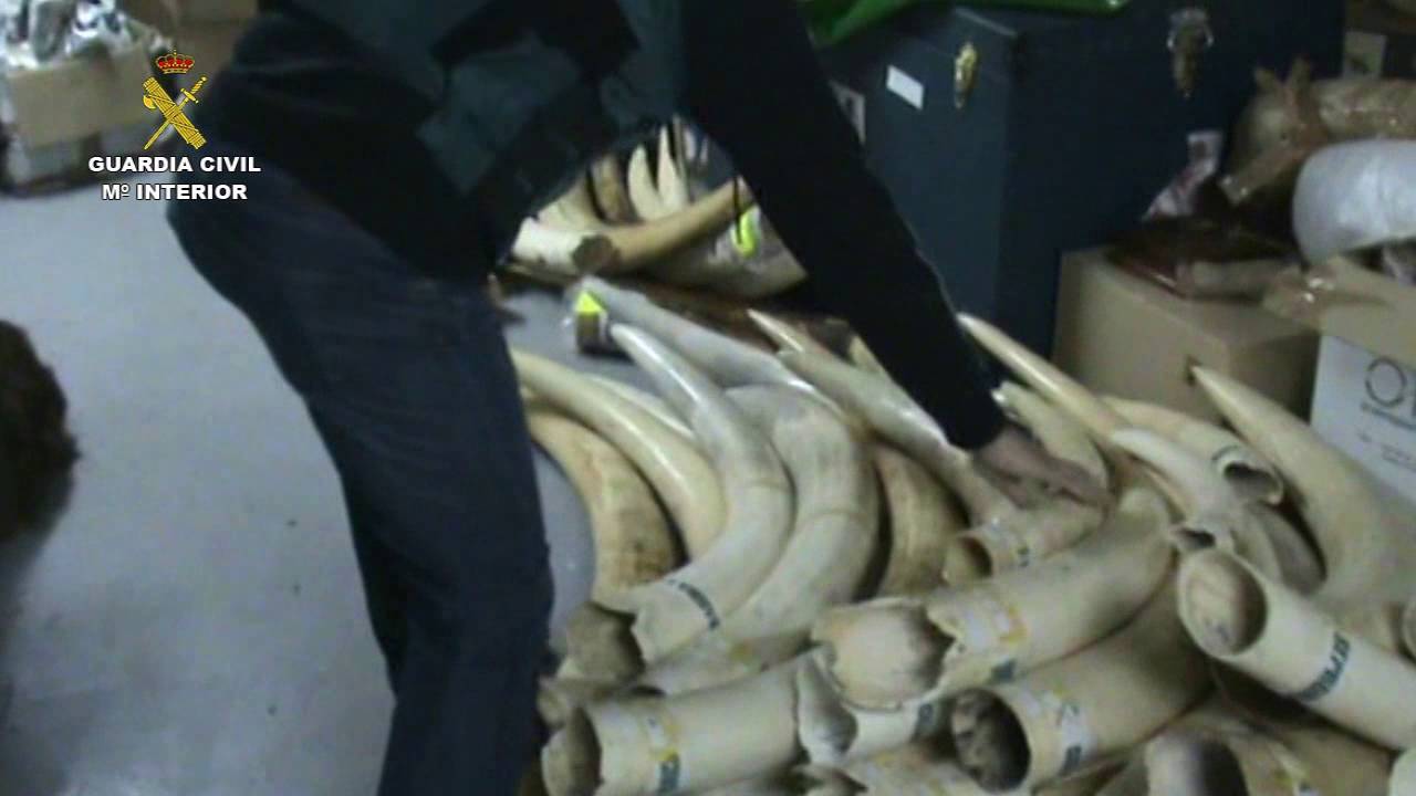 Un  tribunal de Tanzania condena a  la  llamada ‘reina  china del marfil’  a 15 años por contrabando