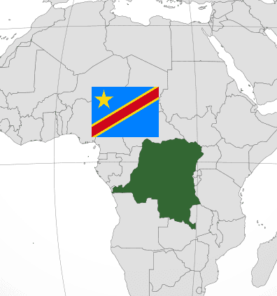 La epidemia de ébola en RDC está «relativamente» controlada