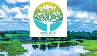 La Comisión de Clima de la Cuenca del Congo en el centro del encuentro entre Sassou N’Guesso y Tshisekedi
