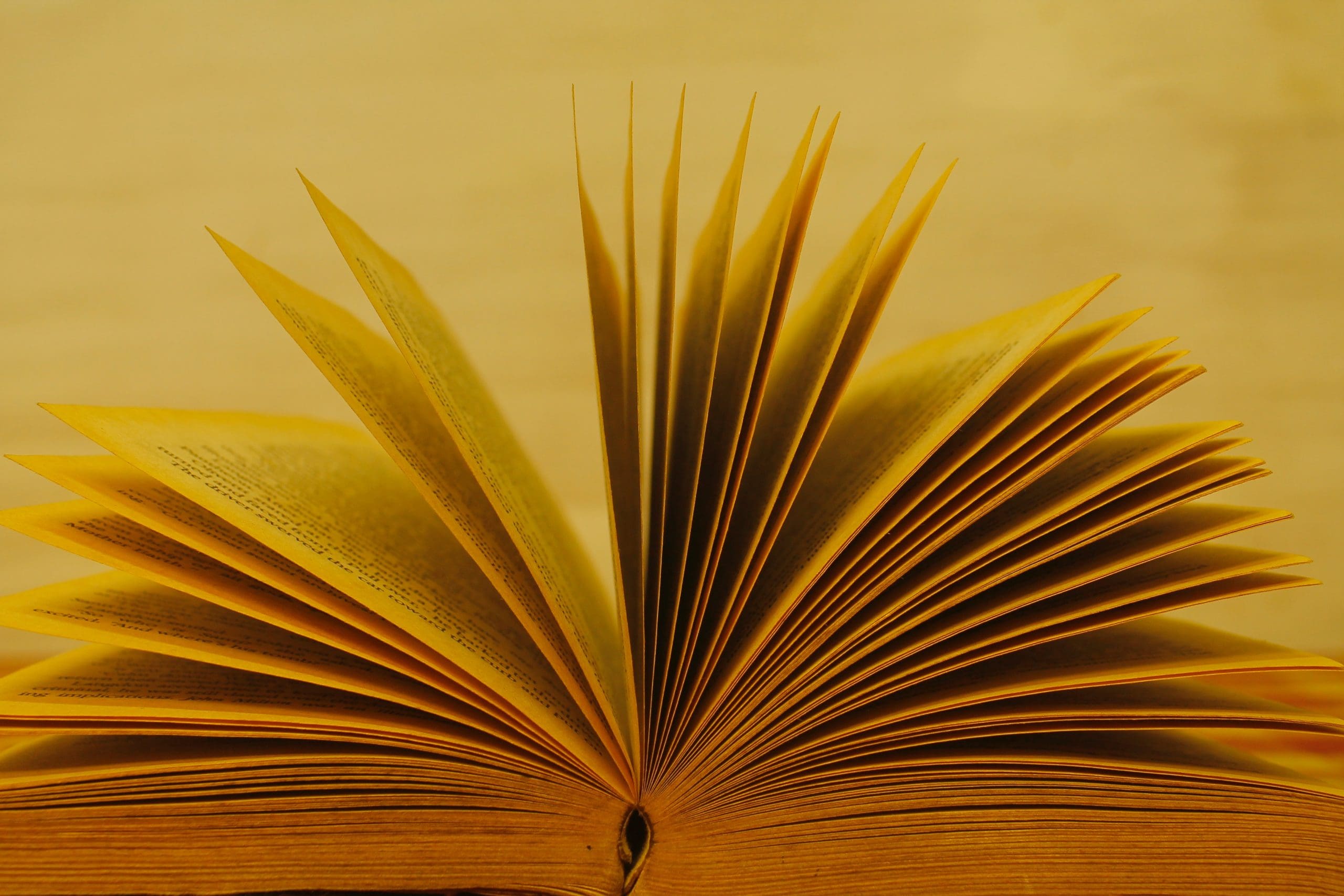 El escritor mozambiqueño Mia Couto reivindica la literatura africana en la fiesta de Sant Jordi