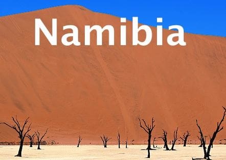 La Cámara de Medio Ambiente de Namibia apoya el plan de conservación de elefantes