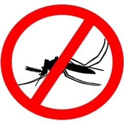 La malaria sigue siendo una de las principales causas de muerte en África