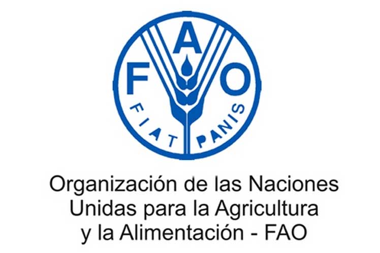 La FAO publica su informe sobre la hambruna en la región de Oriente Próximo y de África del Norte (MENA)